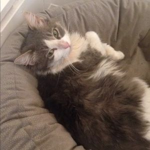 Meet your Posher, Debra